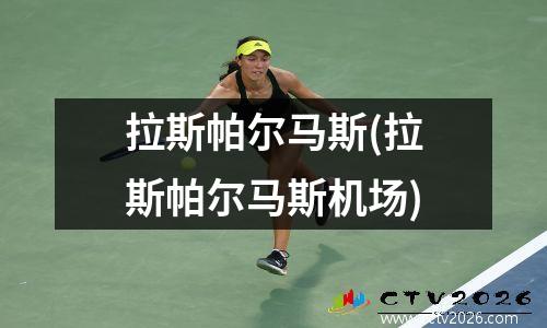 拉斯帕尔马斯(拉斯帕尔马斯机场)