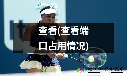 查看(查看端口占用情况)