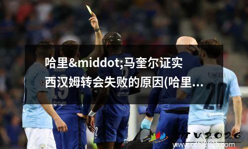 哈里·马奎尔证实西汉姆转会失败的原因(哈里波特与魔法石)