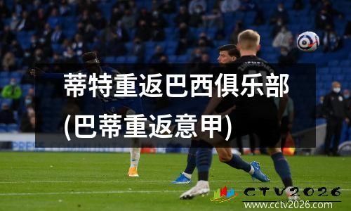 蒂特重返巴西俱乐部(巴蒂重返意甲)