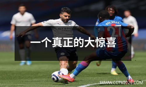 一个真正的大惊喜