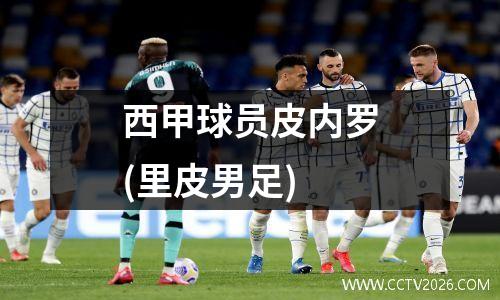 西甲球员皮内罗(里皮男足)
