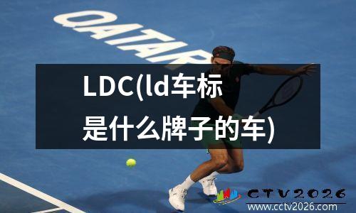 LDC(ld车标是什么牌子的车)