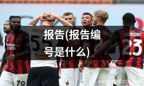 报告(报告编号是什么)