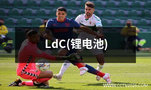 LdC(锂电池)