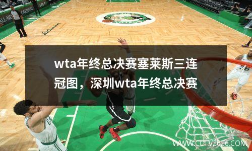 wta年终总决赛塞莱斯三连冠图，深圳wta年终总决赛
