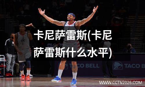卡尼萨雷斯(卡尼萨雷斯什么水平)