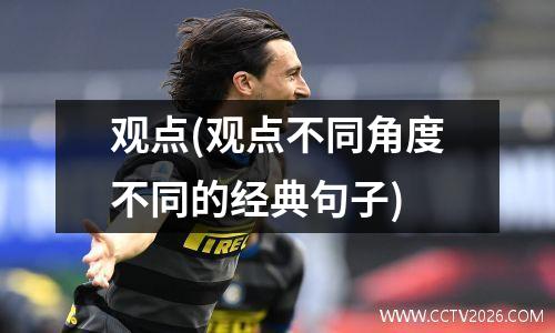 观点(观点不同角度不同的经典句子)