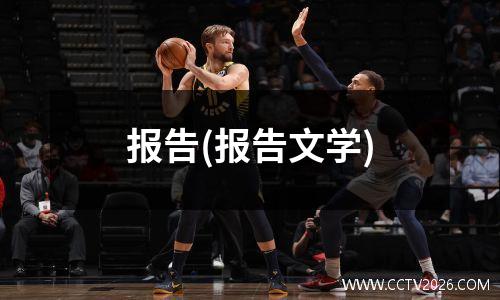 报告(报告文学)