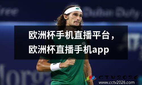 欧洲杯手机直播平台，欧洲杯直播手机app