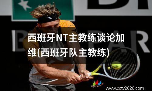 西班牙NT主教练谈论加维(西班牙队主教练)
