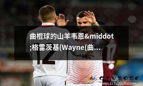 曲棍球的山羊韦恩·格雷茨基(Wayne(曲棍球很危险)