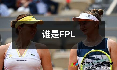 谁是FPL