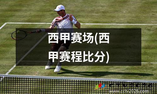 西甲赛场(西甲赛程比分)