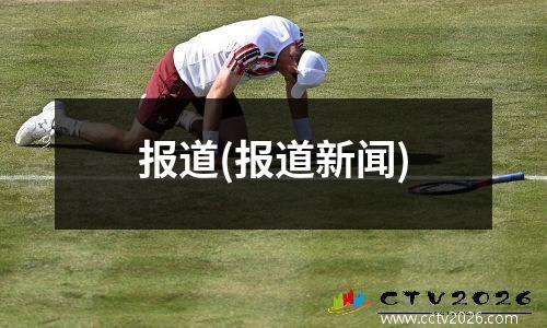 报道(报道新闻)