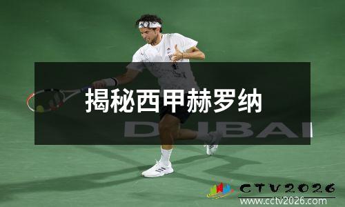 揭秘西甲赫罗纳