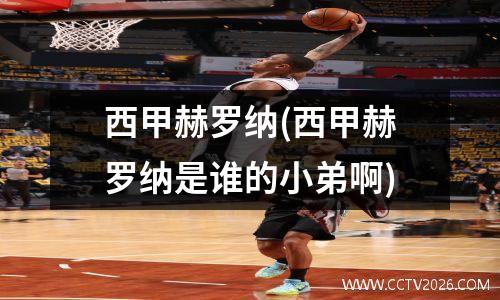 西甲赫罗纳(西甲赫罗纳是谁的小弟啊)