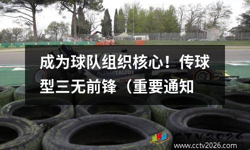 成为球队组织核心！传球型三无前锋（重要通知