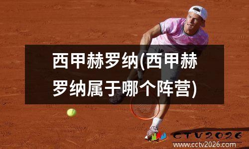 西甲赫罗纳(西甲赫罗纳属于哪个阵营)