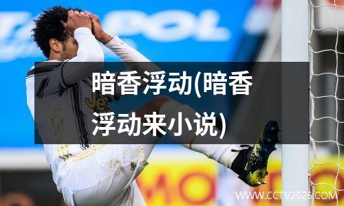暗香浮动(暗香浮动来小说)