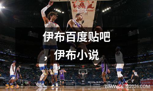 伊布百度贴吧，伊布小说