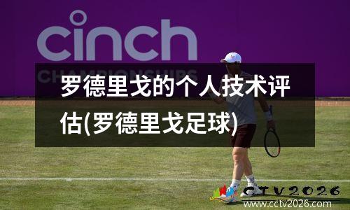 罗德里戈的个人技术评估(罗德里戈足球)