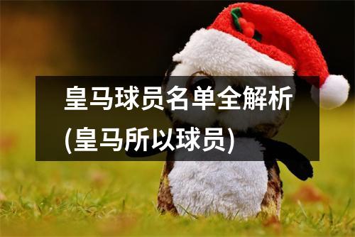 皇马球员名单全解析(皇马所以球员)