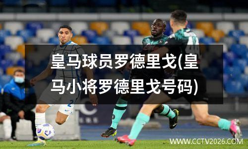 皇马球员罗德里戈(皇马小将罗德里戈号码)