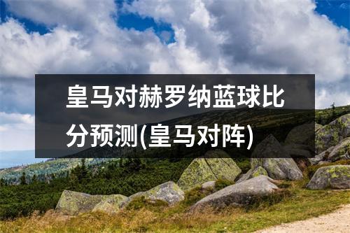 皇马对赫罗纳蓝球比分预测(皇马对阵)