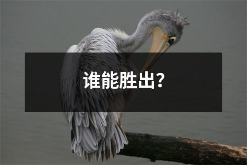 谁能胜出？