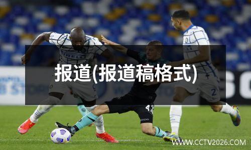 报道(报道稿格式)