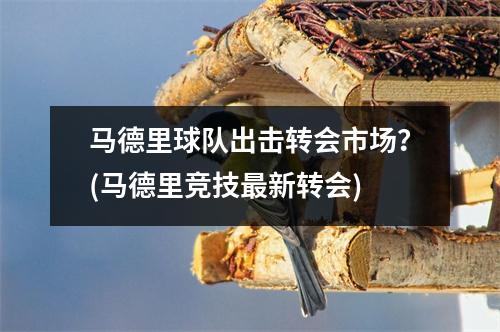 马德里球队出击转会市场？(马德里竞技最新转会)