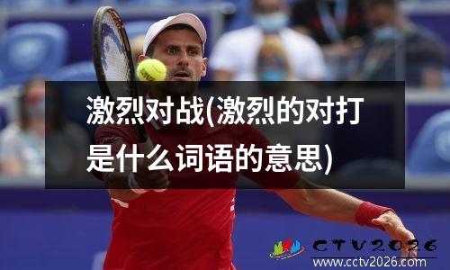 激烈对战(激烈的对打是什么词语的意思)