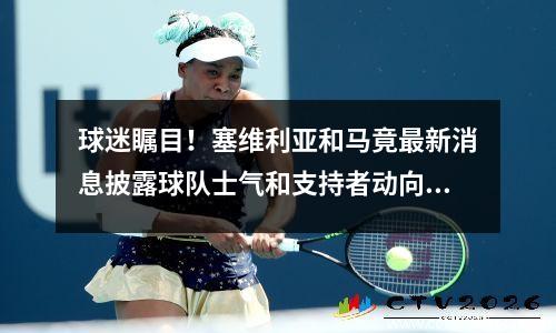 球迷瞩目！塞维利亚和马竟最新消息披露球队士气和支持者动向！(士气动向！塞维利亚和马竟最新消息球队支持者揭秘)