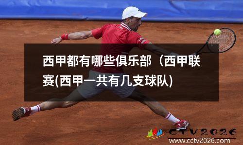 西甲都有哪些俱乐部（西甲联赛(西甲一共有几支球队)