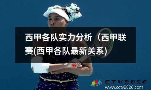 西甲各队实力分析（西甲联赛(西甲各队最新关系)