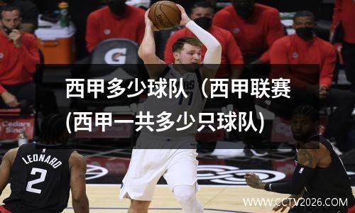 西甲多少球队（西甲联赛(西甲一共多少只球队)