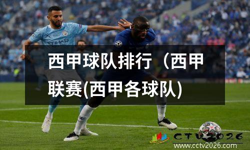 西甲球队排行（西甲联赛(西甲各球队)