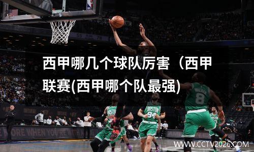 西甲哪几个球队厉害（西甲联赛(西甲哪个队最强)