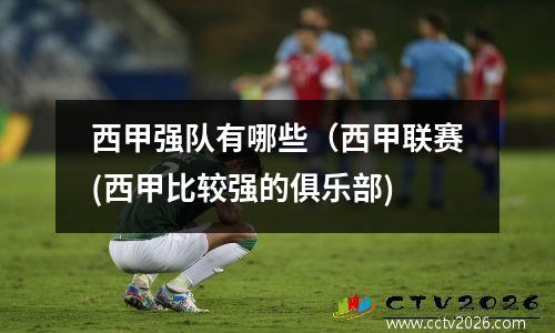 西甲强队有哪些（西甲联赛(西甲比较强的俱乐部)