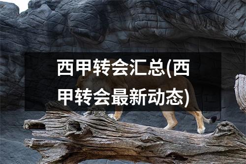 西甲转会汇总(西甲转会最新动态)