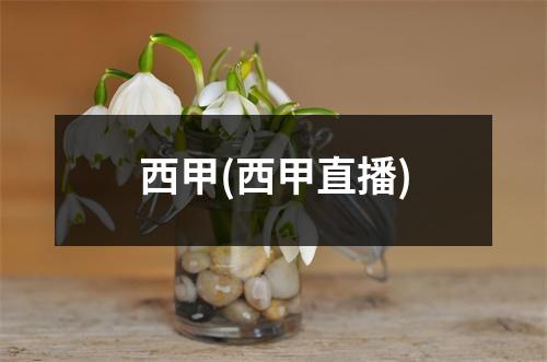 西甲(西甲直播)