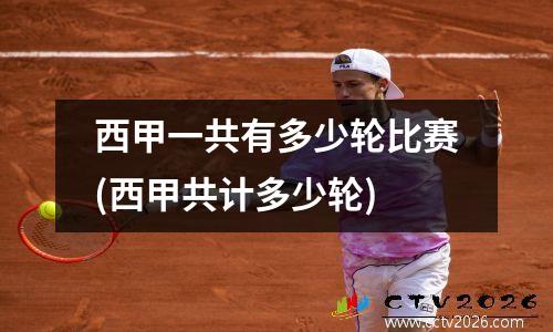 西甲一共有多少轮比赛(西甲共计多少轮)