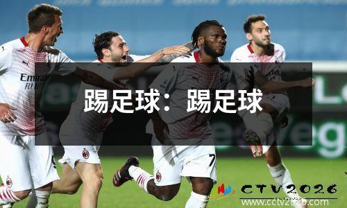 踢足球：踢足球