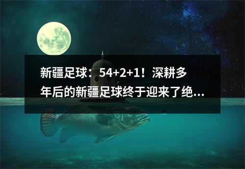 新疆足球：54+2+1！深耕多年后的新疆足球终于迎来了绝地反击！