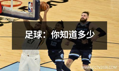 足球：你知道多少