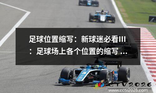 足球位置缩写：新球迷必看III：足球场上各个位置的缩写 你知道AM≈SS吗
