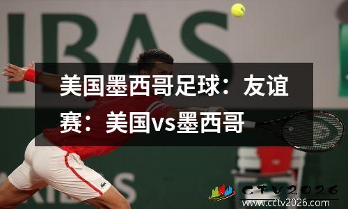 美国墨西哥足球：友谊赛：美国vs墨西哥