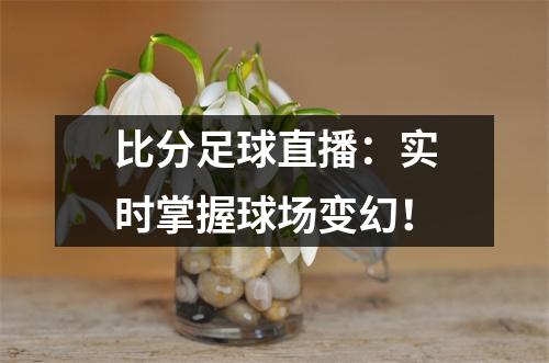 比分足球直播：实时掌握球场变幻！