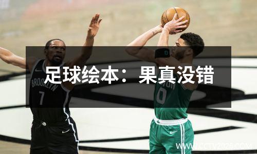 足球绘本：果真没错